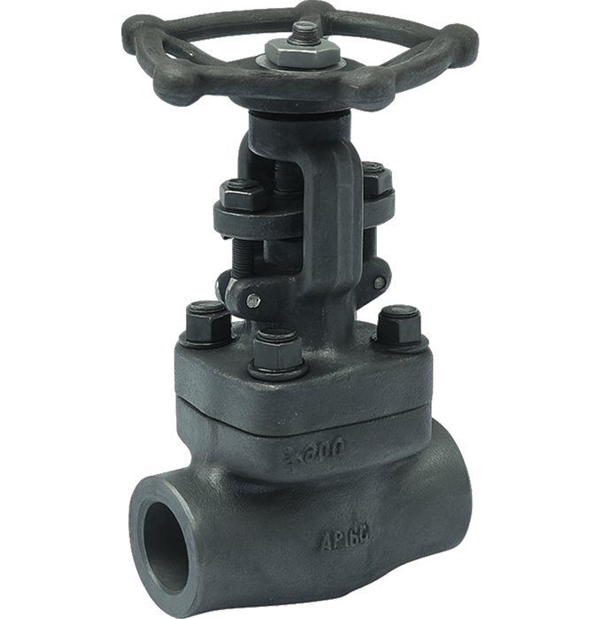 Forged Steel Globe Valve