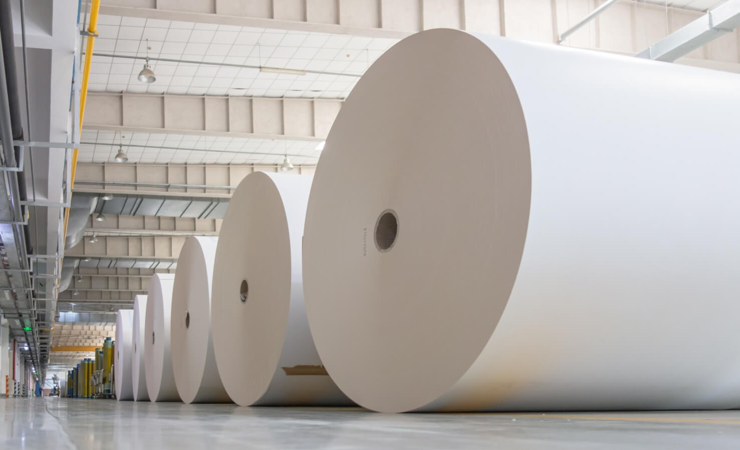 Pulp & Paper Industry