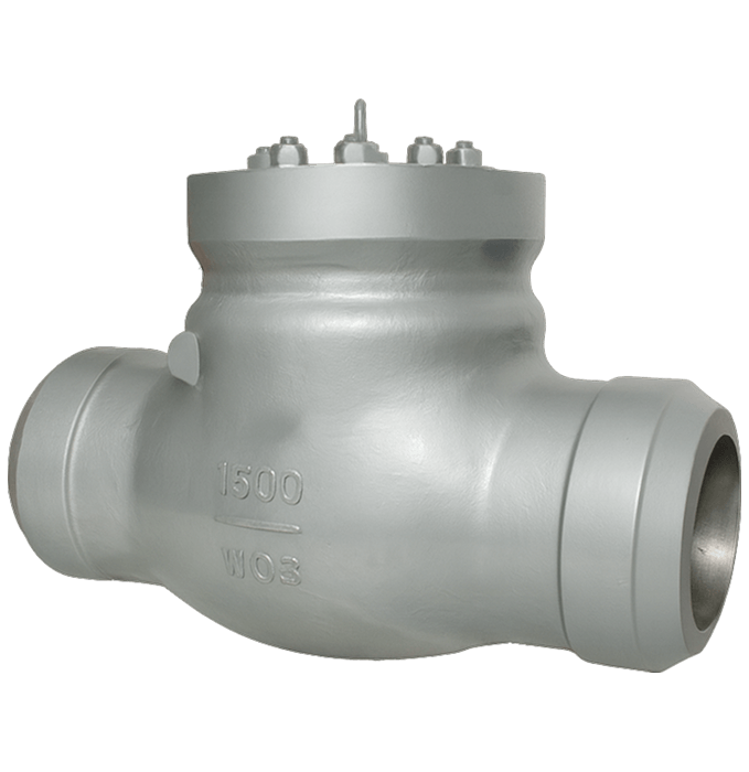 Check Valves | Vti valves